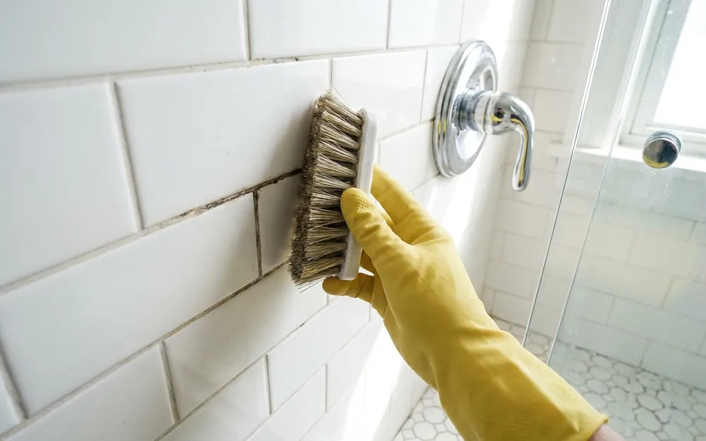 Deep Cleaning, Prime Harmony Cleaning Service